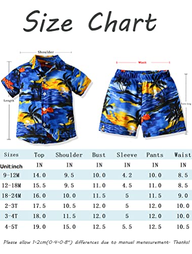 Mallimoda Baby Boys Outfits Shorts Sets Toddler Hawaiian Button Down Shirt Kids Summer Floral Clothes Style 3 120cm from 