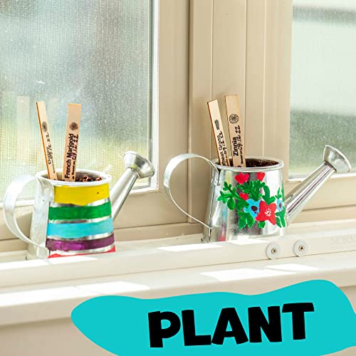 Hapinest Grow and Paint Watering Can 2 Pack Flower Garden Craft Kit Gifts for Kids Boys and Girls Ages 6 7 8 9 10 11 12 Years and Up from IG Trading LLC