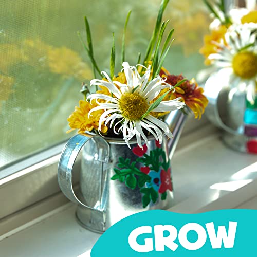 Hapinest Grow and Paint Watering Can 2 Pack Flower Garden Craft Kit Gifts for Kids Boys and Girls Ages 6 7 8 9 10 11 12 Years and Up from IG Trading LLC