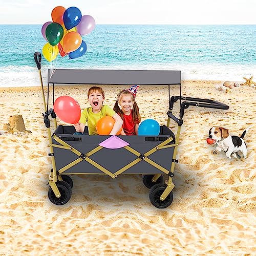 Foldable into Bag Travel Wagon Stroller for 2 Kids & Cargo Collapsible Toddler Wagon with Removable Canopy Adjustable 5-Point Harness Lightweight Carry-on Stroller for Airplane by CLGrich