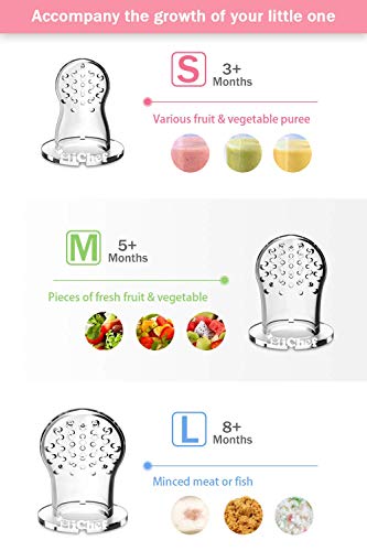 Food Feeder Baby Fresh Fruit Feeder (2 Pack) with 3 Different Sized Silicone Pacifiers, Mash and Serve Bowl with 4 Soft-Tip Silicone Baby Spoons, Perfect Baby First Stage Feeding Set by MICHEF by MICHEF