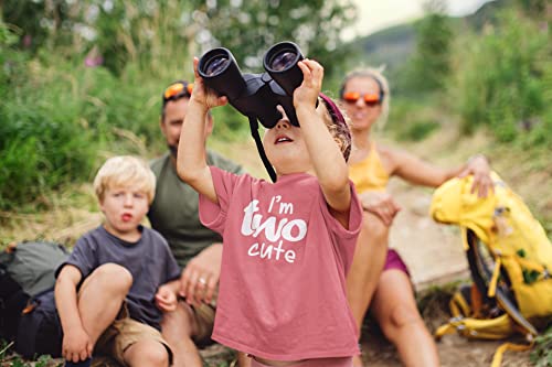 2nd Birthday Outfits for Toddler Girls im Two Cute Shirt Girl 2 Year olds Second (Mauve, 2T) by 