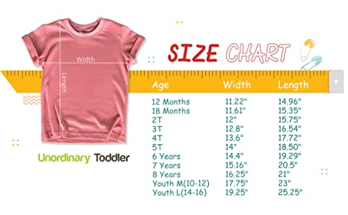 2nd Birthday Outfits for Toddler Girls im Two Cute Shirt Girl 2 Year olds Second (Mauve, 2T) by 