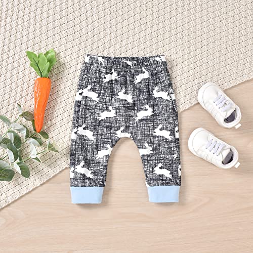Aalizzwell Preemie Baby Boys Girls 1st Easter Clothes Premature Bunny Rabbit Unisex Neutral Outfit Twins Blue from 