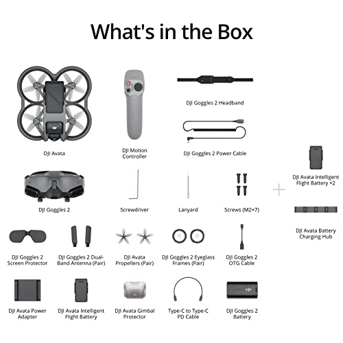DJI Avata Pro-View Combo (DJI Goggles 2) & DJI Avata Fly More Kit - First-Person View Drone UAV Quadcopter with 4K Stabilized Video, Super-Wide 155Â° FOV, Built-in Propeller Guard, Sufficient Power from 
