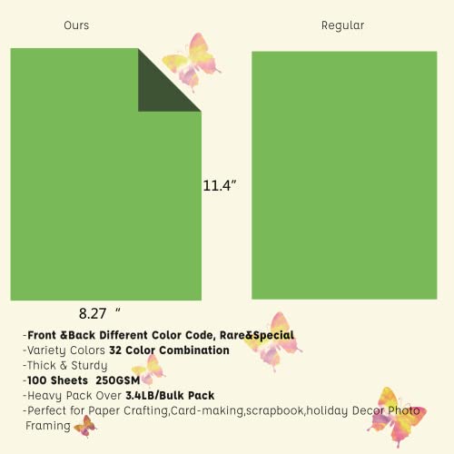 Livholic 100 Pack Heavy Colored Paper Cardstock Front Back Different Color Codes Colorful Cardstock 250GSM for DIY Art, Scrapbook, Paper Crafting,School Supplies (100) by LIVHOLIC