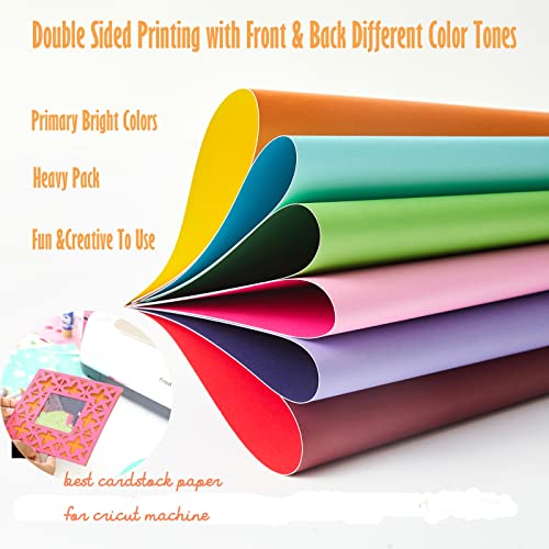 Livholic 100 Pack Heavy Colored Paper Cardstock Front Back Different Color Codes Colorful Cardstock 250GSM for DIY Art, Scrapbook, Paper Crafting,School Supplies (100) by LIVHOLIC