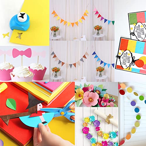 Livholic 100 Pack Heavy Colored Paper Cardstock Front Back Different Color Codes Colorful Cardstock 250GSM for DIY Art, Scrapbook, Paper Crafting,School Supplies (100) by LIVHOLIC