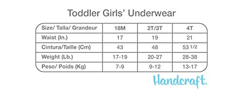 Disney Girls' Toddler Minnie Seven Pack Brief Underwear, Multi, 2T/3T by Handcraft Children's Apparel