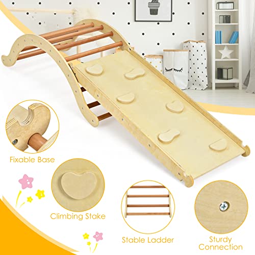 Costzon Climbing Ladder for Toddler with Ramp/Padding, 3-in-1 Baby Wooden Activity Climber Toys for Sliding and Climbing, Safety Kids Indoor Outdoor Vaulted Ladder Playset (3 in 1 Climbing Ladder) from Costzon