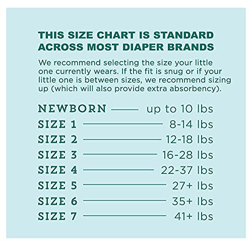 Amazon Brand - Mama Bear Gentle Touch Diapers, Hypoallergenic, Size 6, 108 Count (4 packs of 27) by Amazon.com Services, LLC