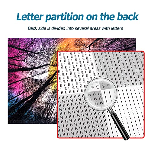 Bgraamiens Puzzle-Forest Under Starry Night-1000 Pieces Creative Color and Lines Jigsaw Puzzle Color Challenge Puzzle from Panley