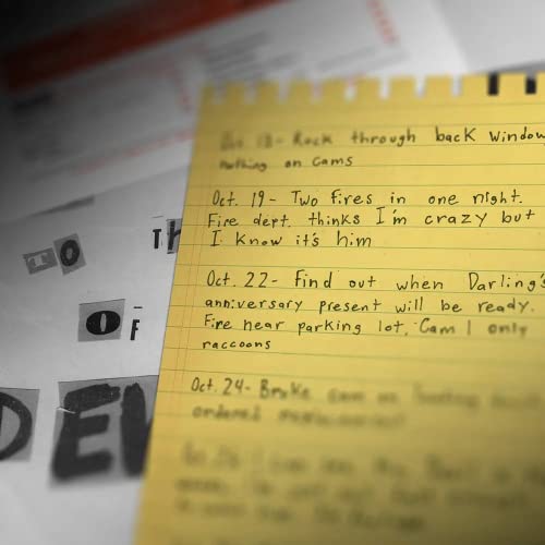 Hunt A Killer Death at The Dive Bar, Immersive Murder Mystery Game -Take on the Unsolved Case as an Independent Challenge, for Date Night or with Family & Friends as Detectives for Game Night, Age 14+ by Hunt A Killer