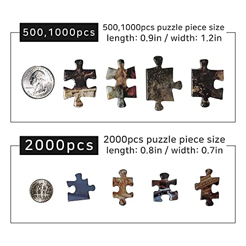 Chamberart 2000 Piece Premium Jigsaw Puzzles Opera Grand Foyer A-2003 from Chamberart