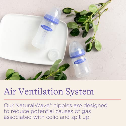 Lansinoh Baby Bottles for Breastfeeding Babies, 8 Ounces, 3 count (Pack of 2) by 