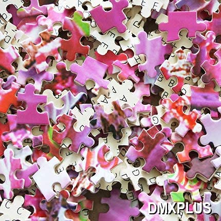 300 Piece Jigsaw Puzzle,Beach Scenery,Island,Waves,sea,Ocean,Nature,Birthday Festival Gift by Anwei