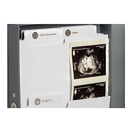 Savor | Baby All-in-One Organizer | Gray â Fabric Bound Acid-Free Newborn Keepsake and Memory Organizer with Labels for Pregnancy, Motherâs Day, Baby Shower, New Baby and Maternity Gifting by Savor