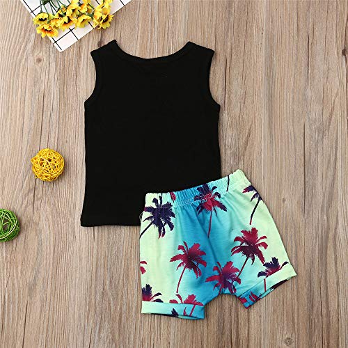 2Pcs Baby Boys Summer Clothing Sets Cute Letters Print Sleeveless Tank Tops T-Shirt+Palm Shorts Outfits (Black Tank Tops+Beach Shorts, 18-24 Months) from 