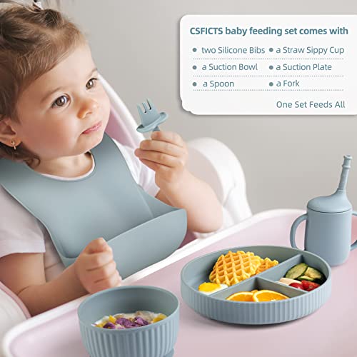 Baby Led Weaning Supplies - CSFICTS Baby Feeding Set - Silicone Suction Bowls, Divided Plates, Straw Sippy Cup - Toddler Self Feeding Eating Utensils Dishes Set with Bibs, Spoons, Fork - 6 Months by Shenzhen Ruidasen Technology Co., Ltd.