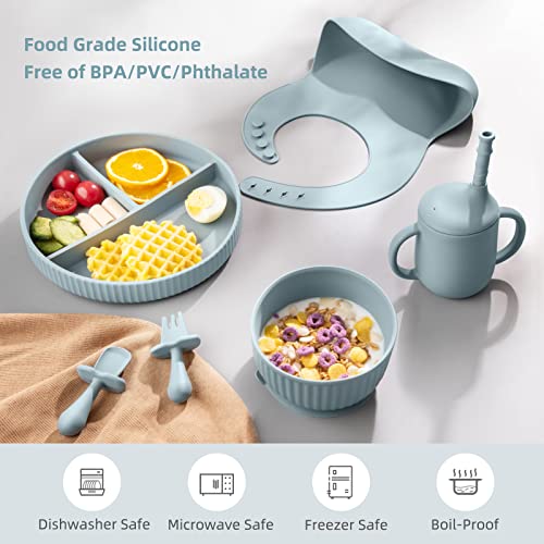 Baby Led Weaning Supplies - CSFICTS Baby Feeding Set - Silicone Suction Bowls, Divided Plates, Straw Sippy Cup - Toddler Self Feeding Eating Utensils Dishes Set with Bibs, Spoons, Fork - 6 Months by Shenzhen Ruidasen Technology Co., Ltd.