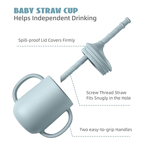 Baby Led Weaning Supplies - CSFICTS Baby Feeding Set - Silicone Suction Bowls, Divided Plates, Straw Sippy Cup - Toddler Self Feeding Eating Utensils Dishes Set with Bibs, Spoons, Fork - 6 Months by Shenzhen Ruidasen Technology Co., Ltd.