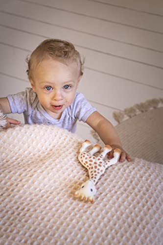 Vulli Sophie The Giraffe New Box, Polka Dots, One Size from caliSSON Inc