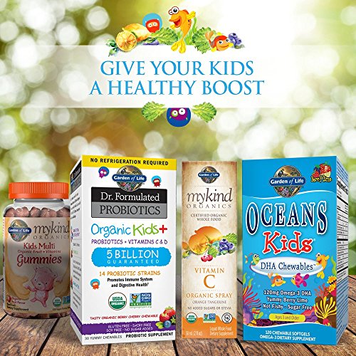 Garden of Life mykind Organics Kids Gummy Vitamins - Fruit - Certified Organic, Non-GMO & Vegan Complete Children's Multi - B12, C & D3 - Gluten, Soy & Dairy Free, 120 Real Fruit Chew Gummies from Garden of Life