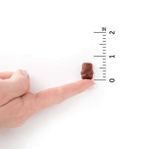 Garden of Life mykind Organics Kids Gummy Vitamins - Fruit - Certified Organic, Non-GMO & Vegan Complete Children's Multi - B12, C & D3 - Gluten, Soy & Dairy Free, 120 Real Fruit Chew Gummies from Garden of Life