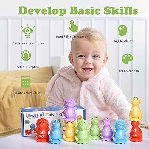 Stacking Dinosaur Toys for Kids 3-5, Stacking Blocks Toys for 3-7 Year Old Boys Girls, Educational Stacking Toys Gifts for Toddlers Age 2-4 Christmas Birthday Gifts, Dinosaur Toys for 2 Year Old Boy by Yozogovo