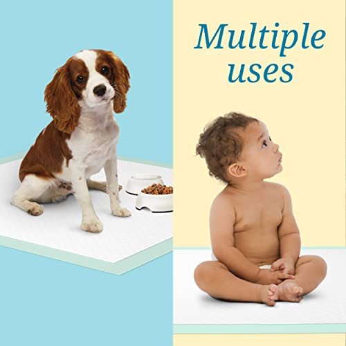 Medline - MSC282070LB Heavy Absorbency Underpads, 36" x 36" Quilted Fluff and Polymer Disposable Underpad, 50 Per Case, Great Protection as Bed Pads and Pee Pads from Medline