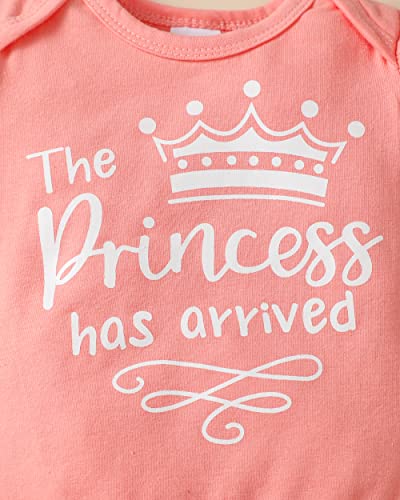 Newborn Baby Girl Clothes 3-6 Months Baby Girl Outfit Summer Infant Girl Clothes Floral Bell Bottoms Pants Ruffle Romper Gifts Stuff Outfits Sets for Baby Girls Pink by 