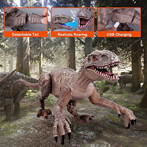 Moonsteps Remote Control Dinosaur Toys for Kids, 2.4Ghz Walking Robot Dinosaur with LED Light & Sound, Rechargeable Electronic RC Toys, Educational Walking Dinosaur Toys for Boys / Girls by MOONSTEPS