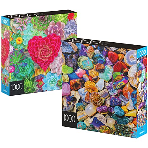 2-Pack of 1000-Piece Jigsaw Puzzles, for Adults, Families, and Kids Ages 8 and up, Succulents and Rocks and Minerals from Spin Master