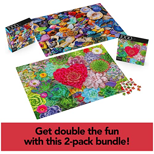 2-Pack of 1000-Piece Jigsaw Puzzles, for Adults, Families, and Kids Ages 8 and up, Succulents and Rocks and Minerals from Spin Master
