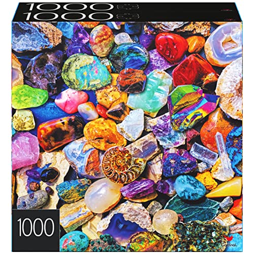 2-Pack of 1000-Piece Jigsaw Puzzles, for Adults, Families, and Kids Ages 8 and up, Succulents and Rocks and Minerals from Spin Master