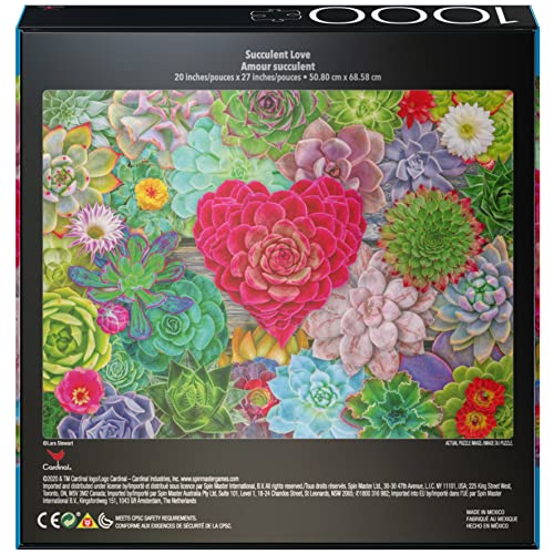 2-Pack of 1000-Piece Jigsaw Puzzles, for Adults, Families, and Kids Ages 8 and up, Succulents and Rocks and Minerals from Spin Master