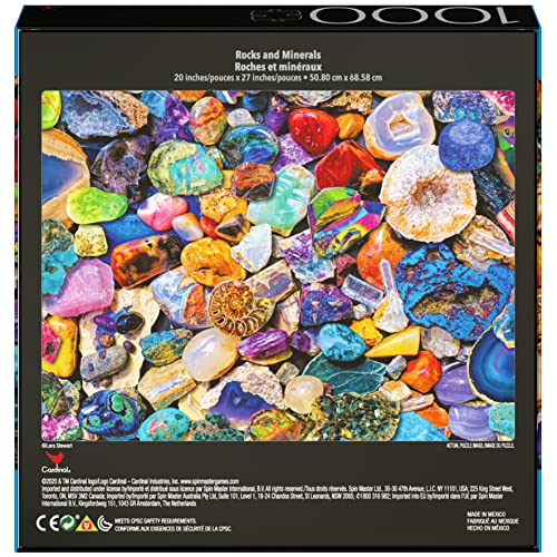 2-Pack of 1000-Piece Jigsaw Puzzles, for Adults, Families, and Kids Ages 8 and up, Succulents and Rocks and Minerals from Spin Master