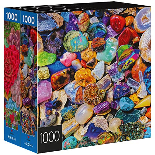 2-Pack of 1000-Piece Jigsaw Puzzles, for Adults, Families, and Kids Ages 8 and up, Succulents and Rocks and Minerals from Spin Master