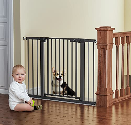 BB1017 Dog Gate for The House,Baby Gate for Stairs 27-43" (Black) by BabyBond