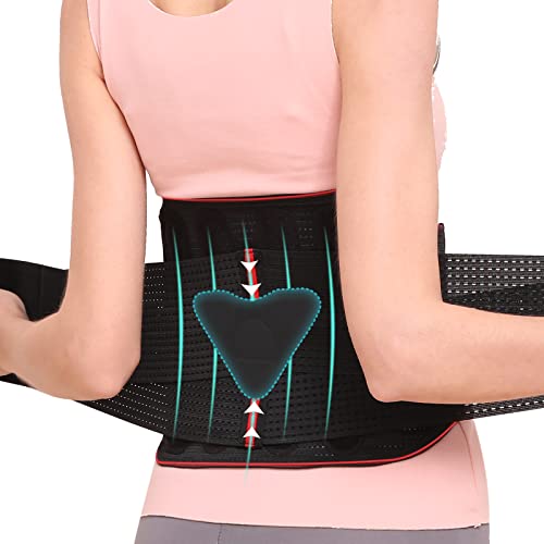 Hameisen Back Brace for Lower Back Pain, Relief for Herniated Disc, Sciatica, Scoliosis and more, Lightweight & Breathable Mesh with Lumbar Pad, Adjustable Support Strap for Women and Men - L by Hameisen