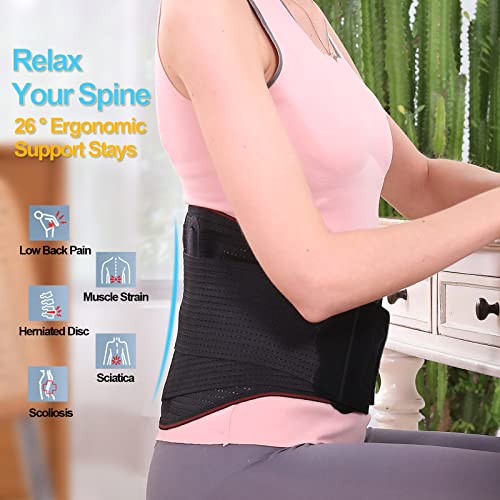 Hameisen Back Brace for Lower Back Pain, Relief for Herniated Disc, Sciatica, Scoliosis and more, Lightweight & Breathable Mesh with Lumbar Pad, Adjustable Support Strap for Women and Men - L by Hameisen
