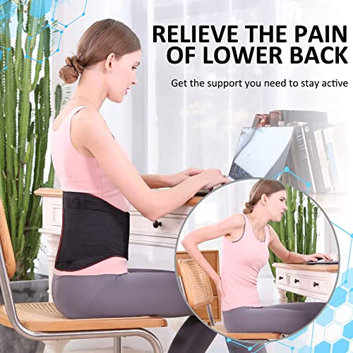 Hameisen Back Brace for Lower Back Pain, Relief for Herniated Disc, Sciatica, Scoliosis and more, Lightweight & Breathable Mesh with Lumbar Pad, Adjustable Support Strap for Women and Men - L by Hameisen