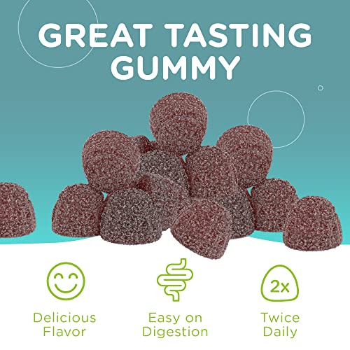 Chapter Six Ashwagandha Gummies, Mood and Relaxation Support Supplement, Kosher, 60 Gummies from Zahler