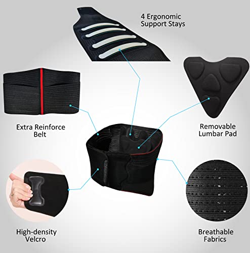 Hameisen Back Brace for Lower Back Pain, Relief for Herniated Disc, Sciatica, Scoliosis and more, Lightweight & Breathable Mesh with Lumbar Pad, Adjustable Support Strap for Women and Men - L by Hameisen