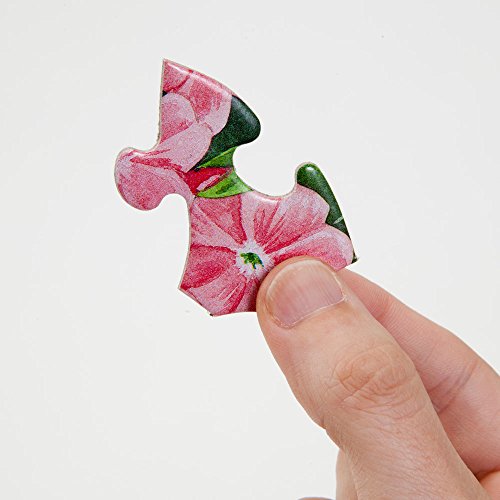 Bits and Pieces - 200 Piece Jigsaw Puzzle for Adults 15" x 19" - Cats in Flower Pots - 200 pc Kitten Colorful Bloom Butterfly Sweet Cute Garden Jigsaw by Artist Makiko from Melville Direct