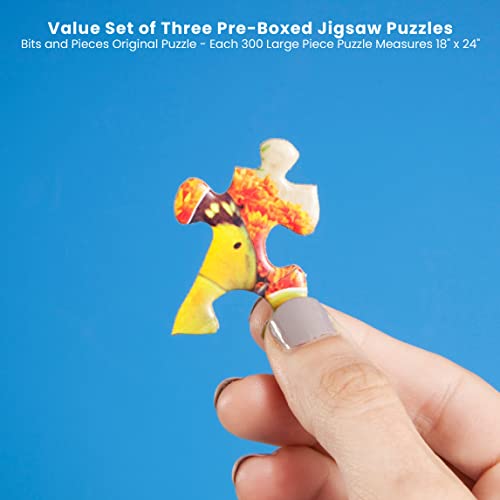 Bits and Pieces - 300 Large Piece Puzzles for Adults - Value Set of Three - Sunny Season Collection by Artist John Sloane - Jigsaw Puzzles - 18" X 24" by Melville Direct