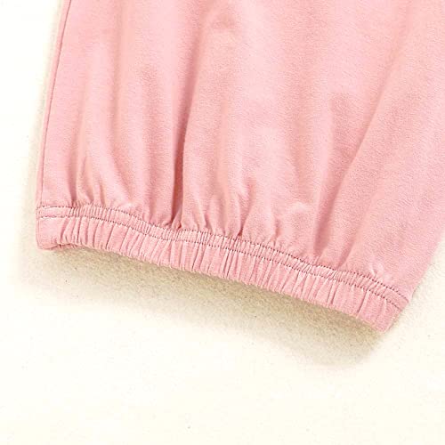 AMAWMW Newborn Baby Girl Little Sister Sleeper Gown Stripe Long Sleeve Nightgown Outfit (Pink, 0-6 Months) by AMAWMW