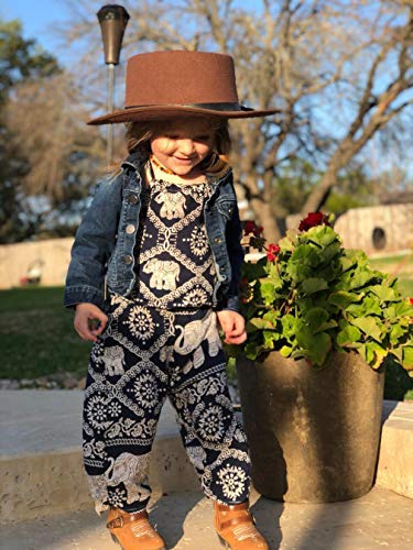 2Pcs/Set Kids Baby Girls Elephant Jumpsuit Romper, Straps Tops+Harem Pants Outfit (2-3 Years, Blue) from BULINGNA