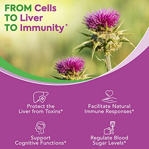 Surebounty Organic Milk Thistle, 9000 mg Equivalent, 30X Concentrated Seed Extract with 80% Silymarin, Liver Cleanse Detox for Men + Women, Glutathione Antioxidant Support, Once Daily, 90 Veggie Caps from Surebounty