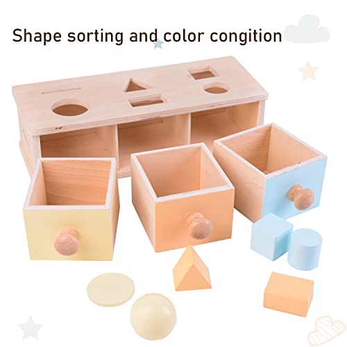 MORITECK Montessori 3 in 1 Object Permanence Box Coin Box Shape Sorter for 8 Months up Baby Wooden Toy for Boy Girls Christmas Birthday Gift from MORITECK